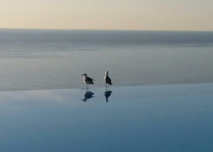 Zen Costa Plana * Cap-d'Ail