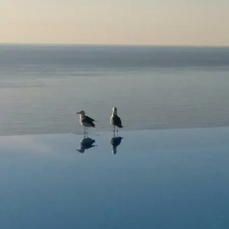 Zen Costa Plana * Cap-d'Ail