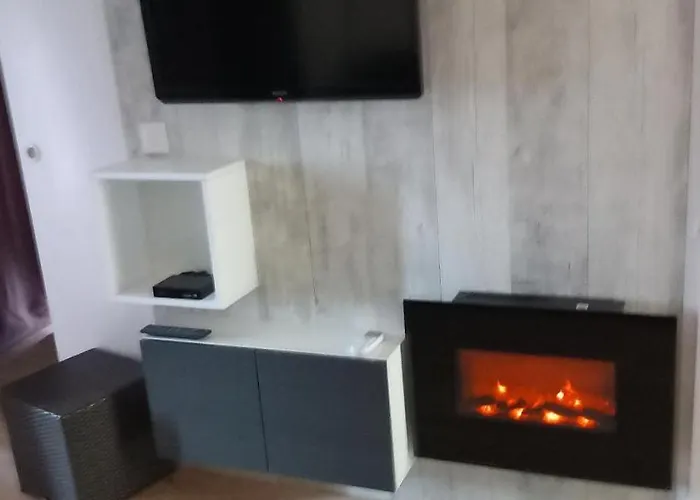 Zen Costa Plana カップダイユ